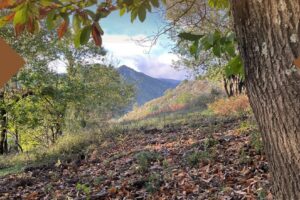 Balades en Ardèche au cœur du patrimoine fruitier