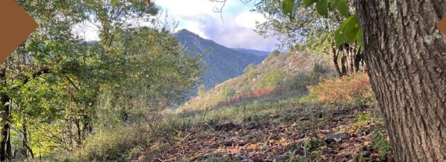 Balades en Ardèche au cœur du patrimoine fruitier