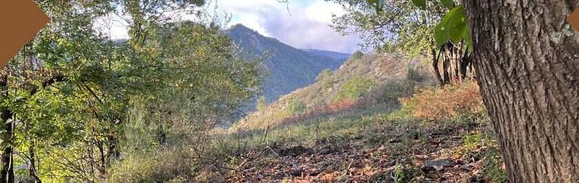 Balades en Ardèche au cœur du patrimoine fruitier